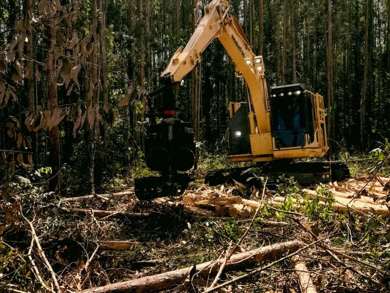 Land clearing project in Louisville